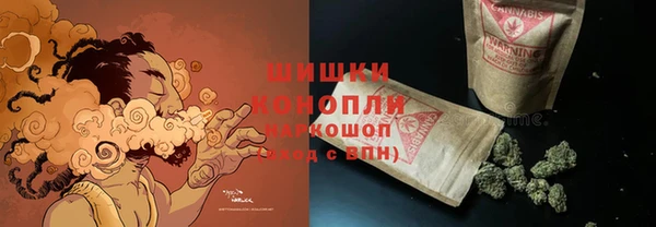 ГАЛЛЮЦИНОГЕННЫЕ ГРИБЫ Вязьма